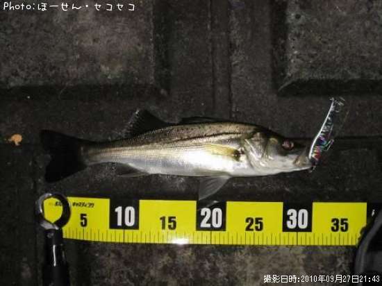 �����Х�