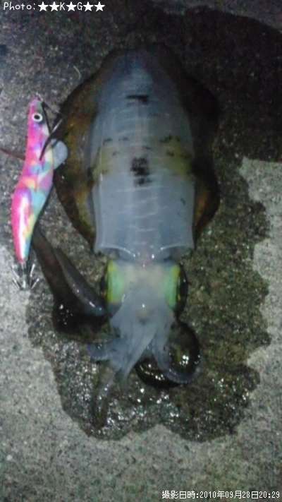 �����ꥤ��