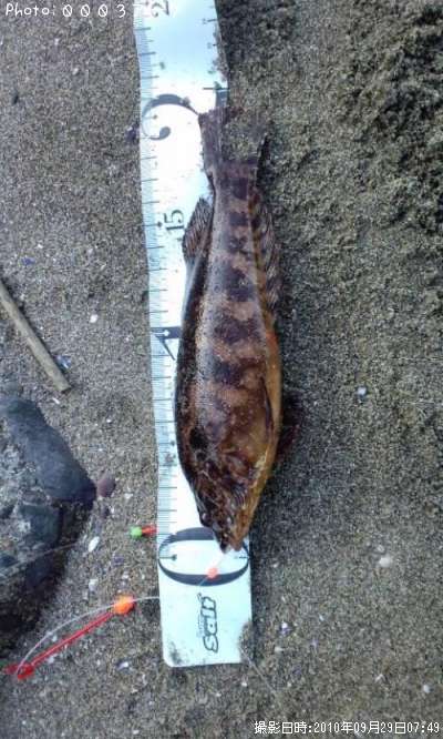 �����ʥ�