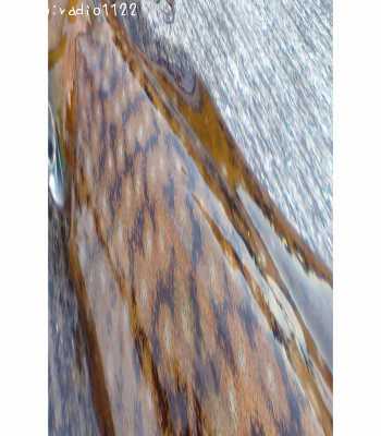 �����ꥤ��