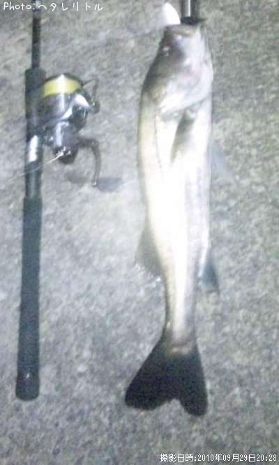 �����Х�