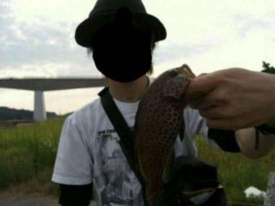 �����ϥ�