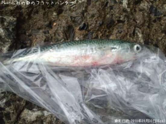 ���ޥ���