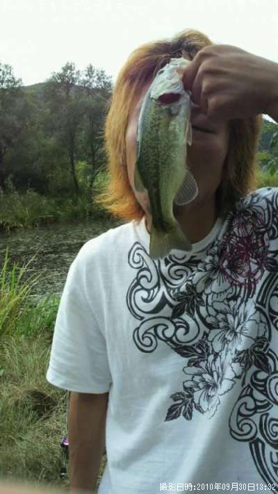 �֥�å��Х�