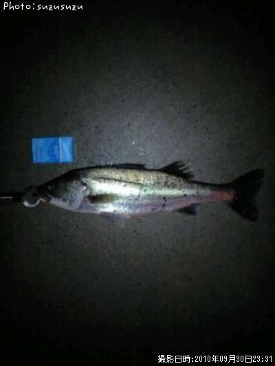 �����Х�