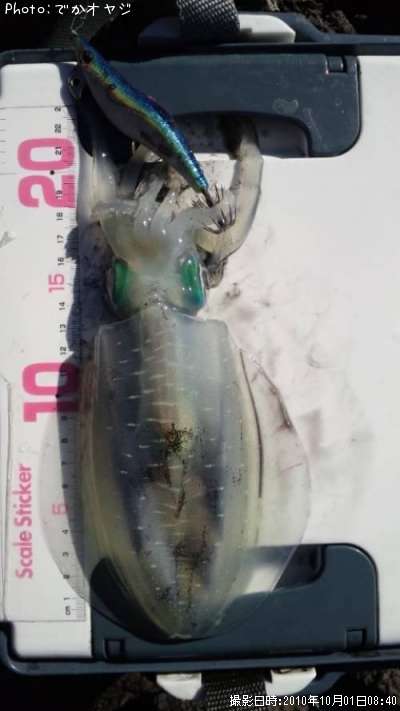 �����ꥤ��