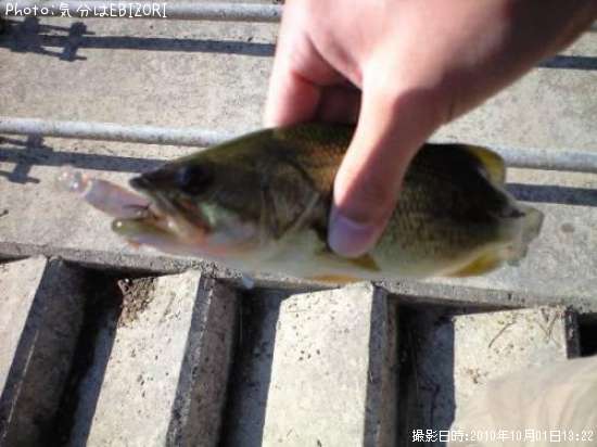 �֥�å��Х�