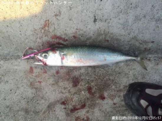 ���ޥ���