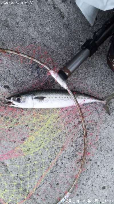 ���ޥ���