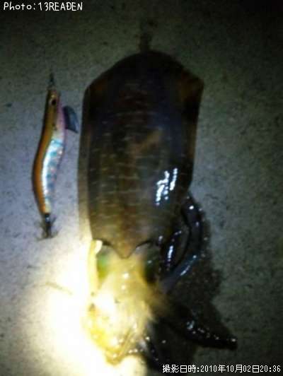 �����ꥤ��