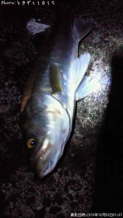 �����Х�