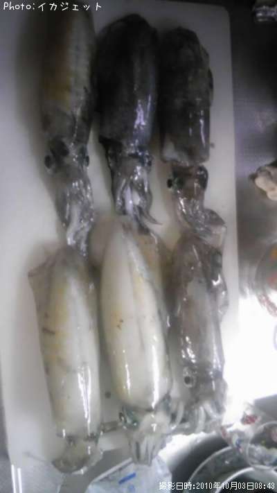 �����ꥤ��