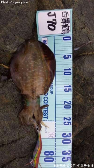 �����ꥤ��