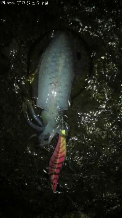 �����ꥤ��