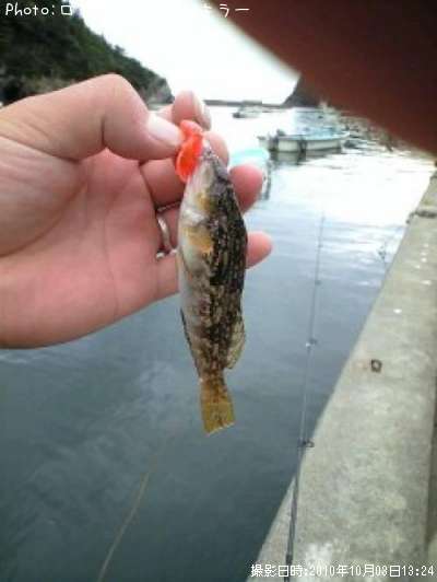 �����ʤ�