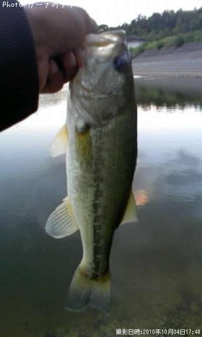 �֥�å��Х�