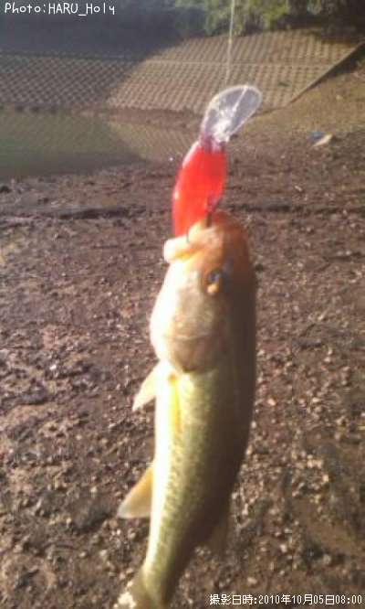 �֥�å��Х�