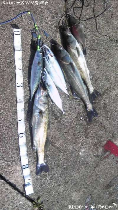 �����Х������С�����Ϥ�