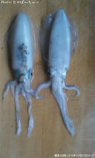 �����ꥤ��