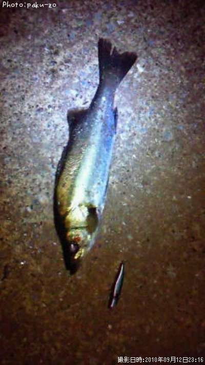 �����Х�