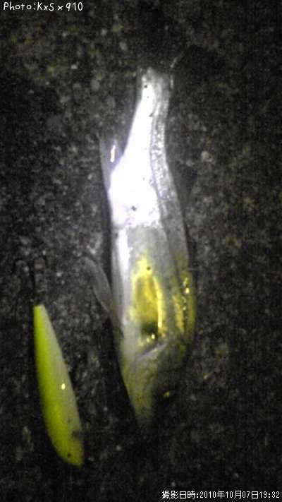 �����Х�