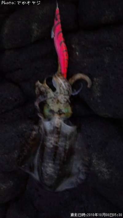 �����ꥤ��