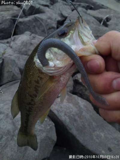 �֥�å��Х�