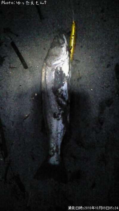 �����Х�