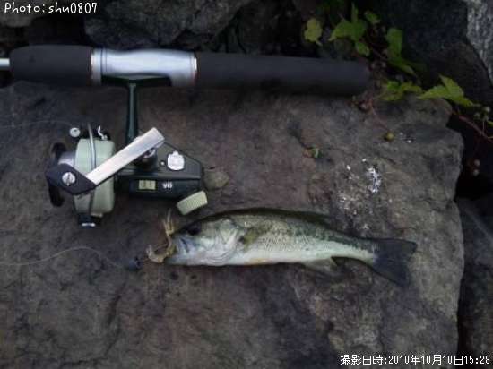 �֥�å��Х�