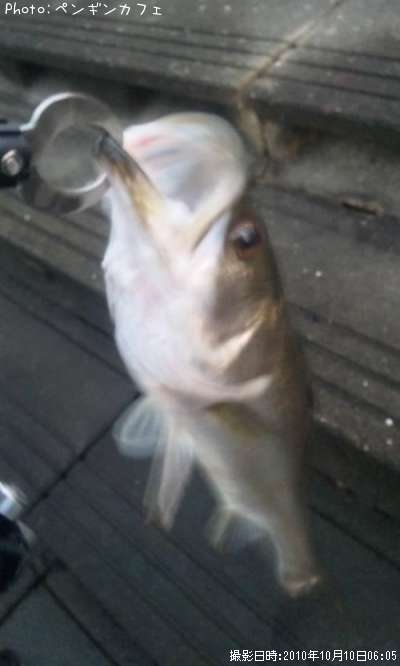 �����Х�