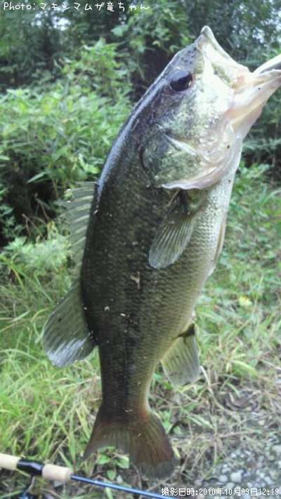 �֥�å��Х�