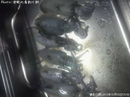 �����ꥤ��