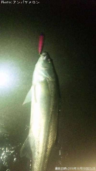 �����Х�