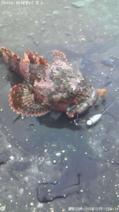 ����������