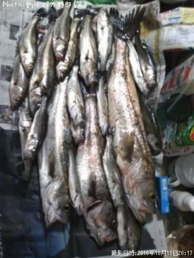 �����Х����