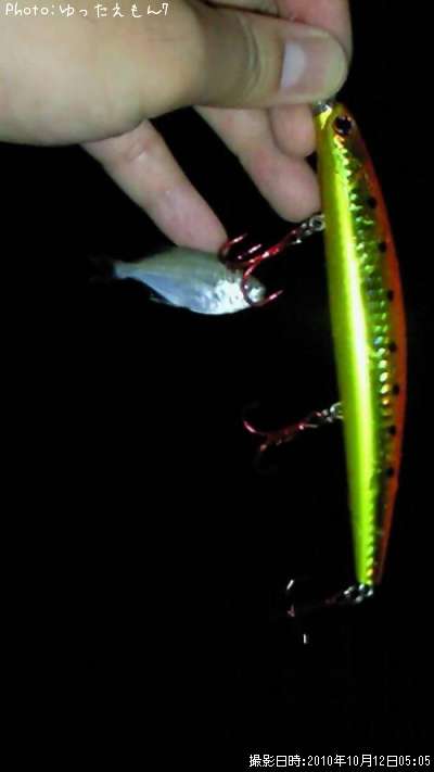 �����Х�