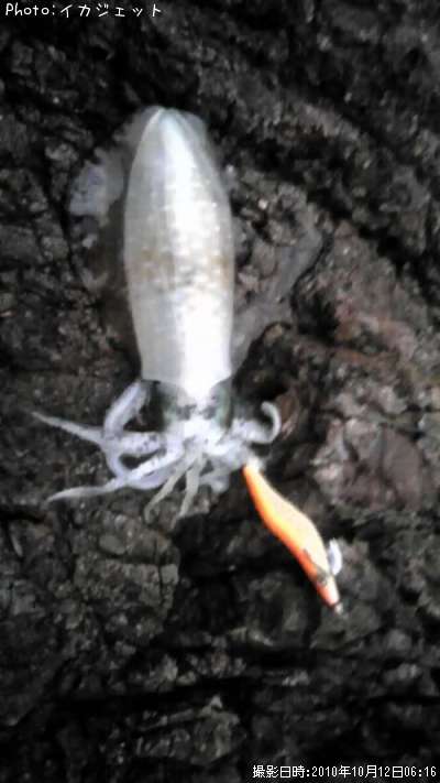 �����ꥤ��