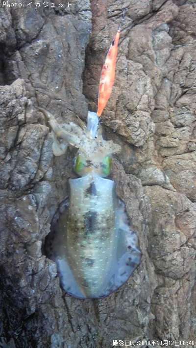 �����ꥤ��