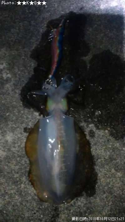 �����ꥤ��