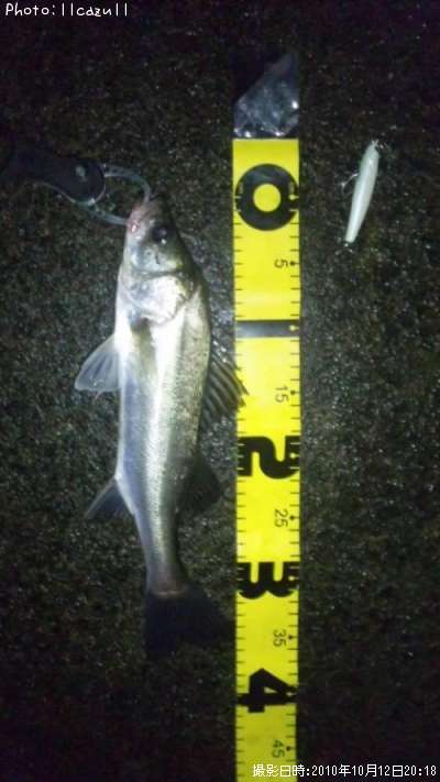 �����Х�