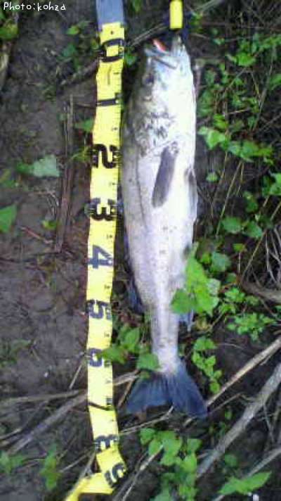 �����Х�