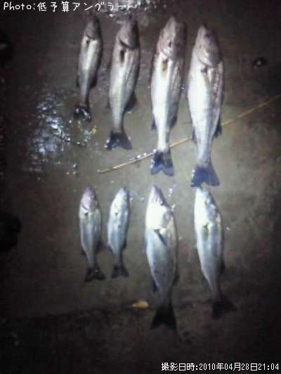 �����Х�