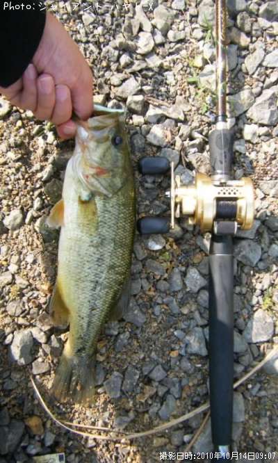 �֥�å��Х�