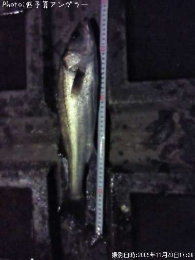 �����Х�