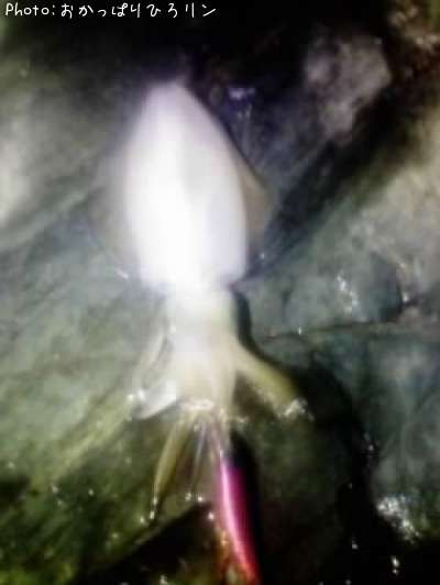 �����ꥤ��