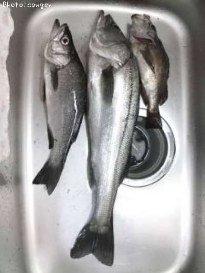 �ҥ饹����