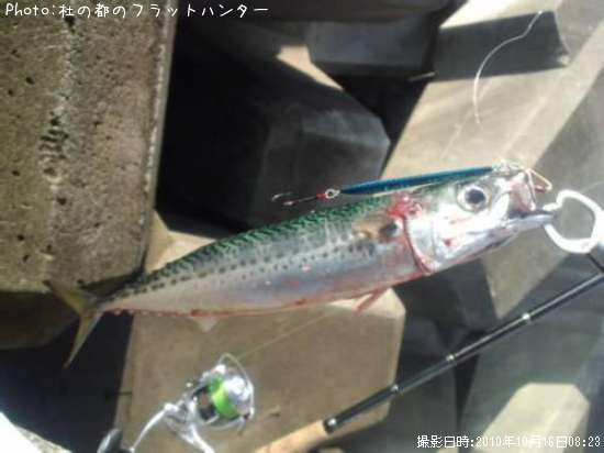 ���ޥ���