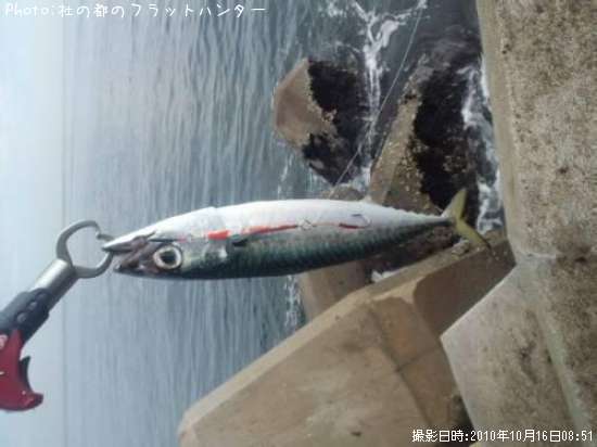 ���ޥ���