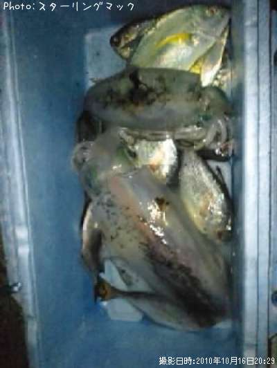 �����ꥤ��