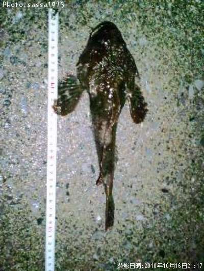 �ȥ��٥ĥ�����